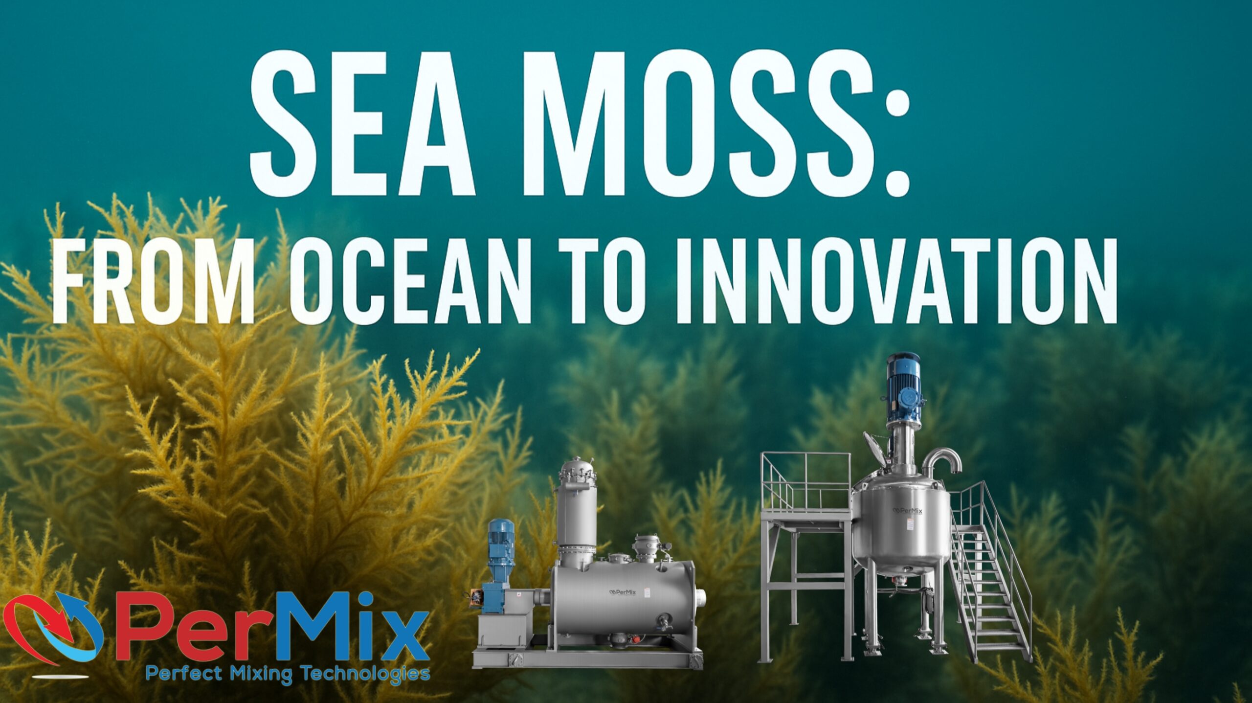 Sea Moss Processing: From Ocean to Nutraceuticals & Cosmetics