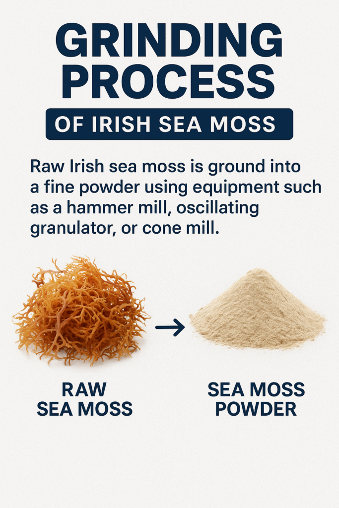 Sea Moss: The Superfood Revolution Powered by PerMix & DP Pulverizers